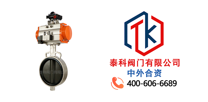 氣動單作用對夾蝶閥拼圖尼必可.jpg